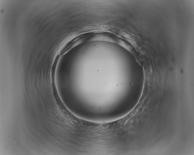 X0000069390148200605150952