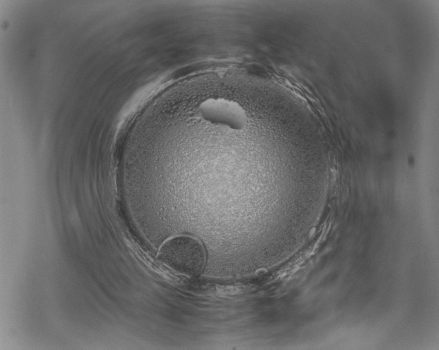 X0000069390149200605150952