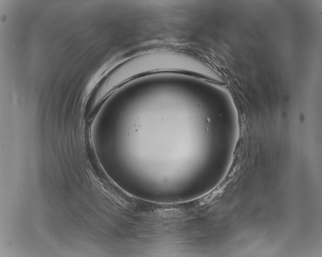 X0000069390150200605150952