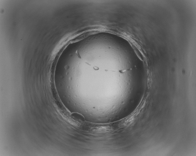 X0000069390151200605150952