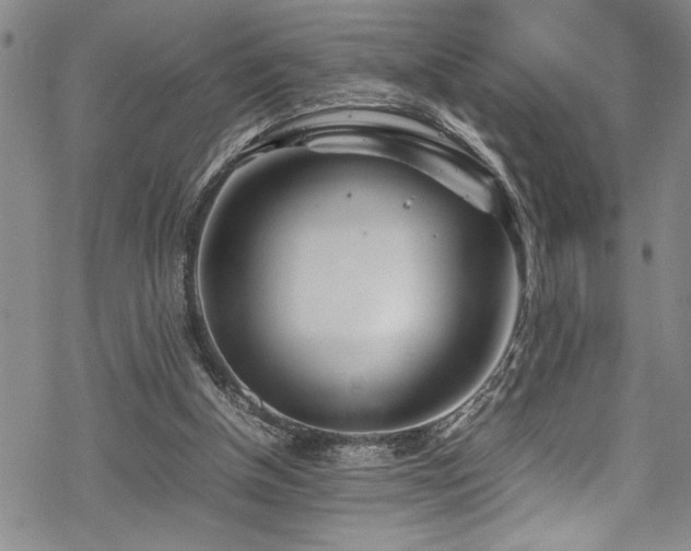 X0000069390154200605150952