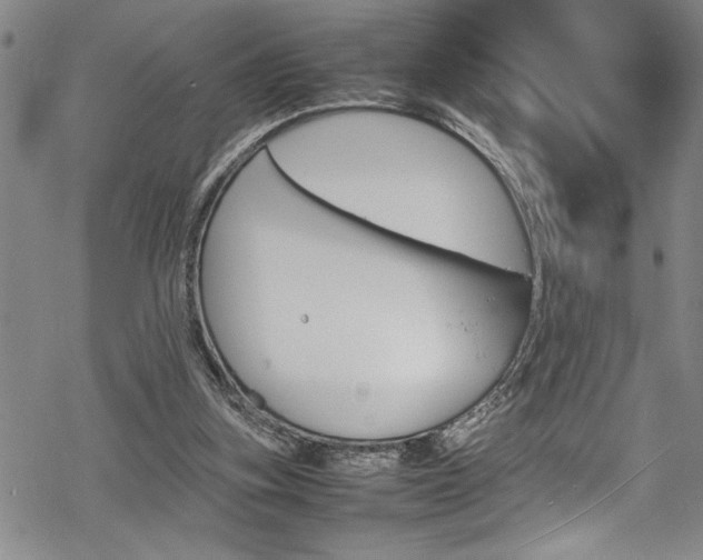 X0000069390155200605150952