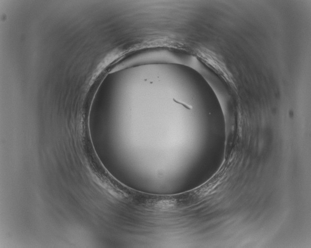 X0000069390156200605150952