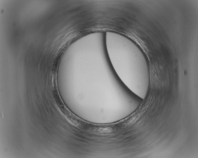 X0000069390157200605150952