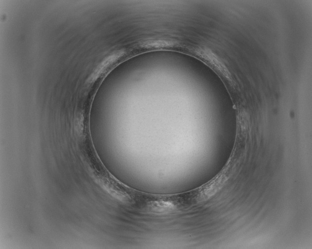 X0000069390159200605150952