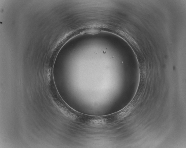 X0000069390160200605150952