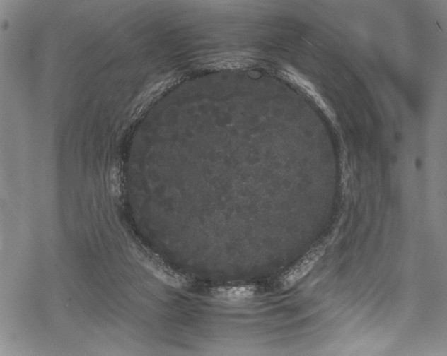 X0000069390161200605150952