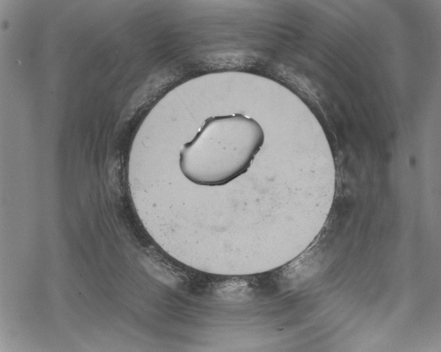 X0000069390162200605150952