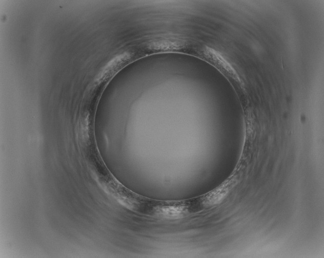 X0000069390163200605150952