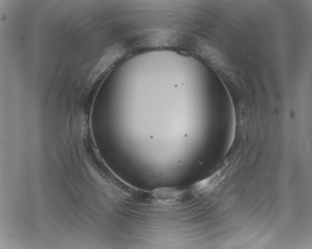 X0000069390164200605150952