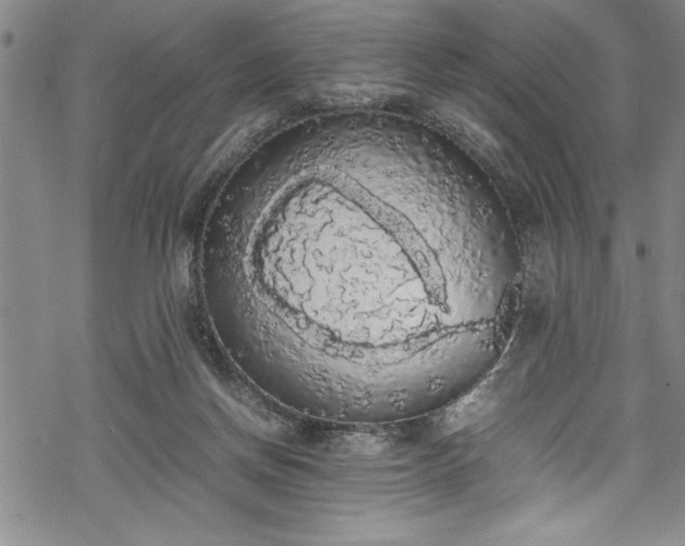 X0000069390166200605150952