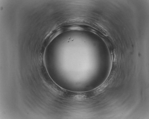 X0000069390168200605150952