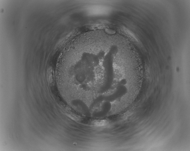 X0000069390169200605150952