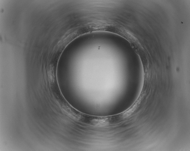 X0000069390170200605150952