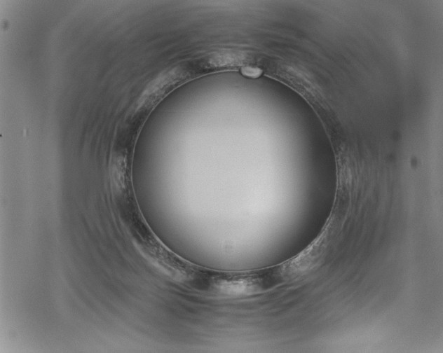 X0000069390171200605150952