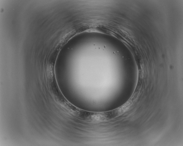 X0000069390172200605150952