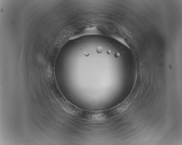 X0000069390173200605150952