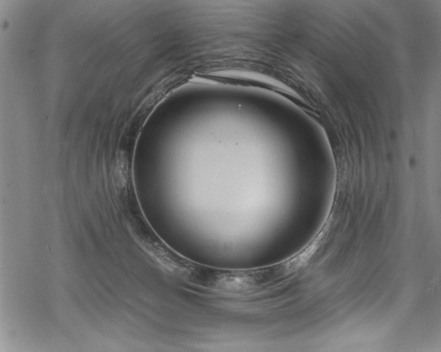 X0000069390174200605150952