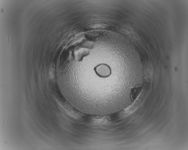 X0000069390175200605150952