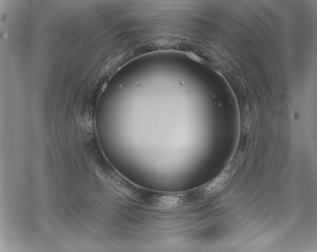 X0000069390176200605150952