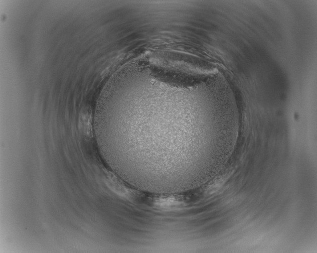 X0000069390177200605150952