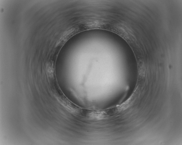 X0000069390179200605150952