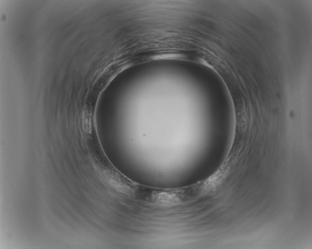 X0000069390180200605150952