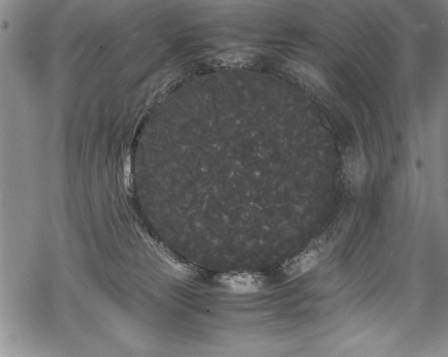 X0000069390181200605150952