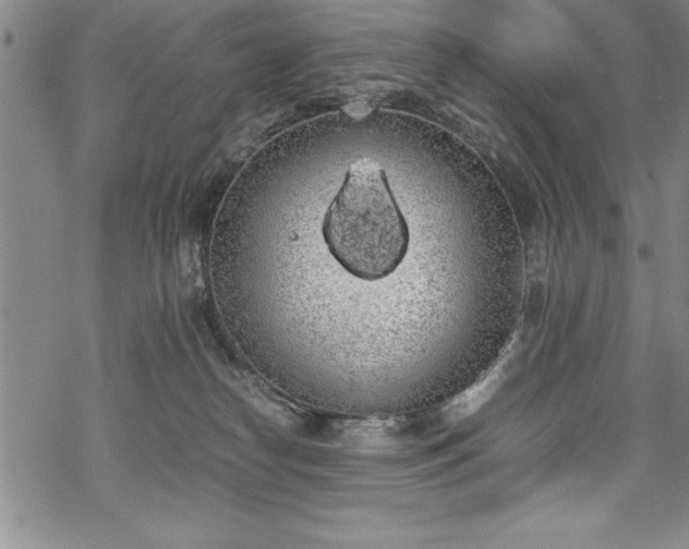 X0000069390182200605150952