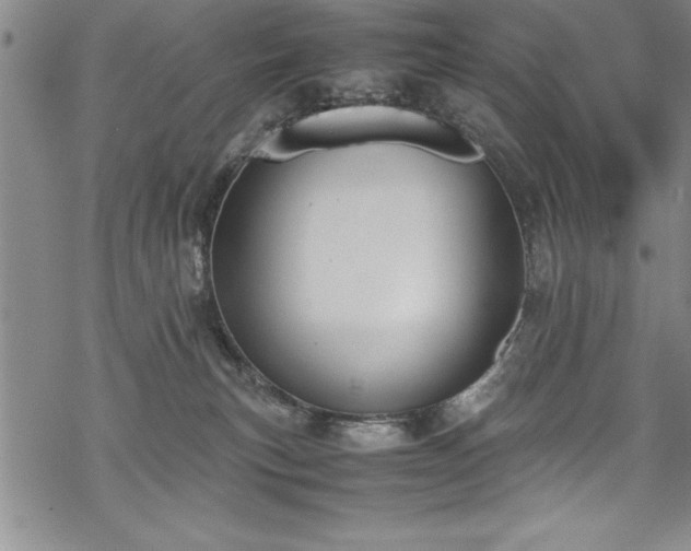 X0000069390183200605150952