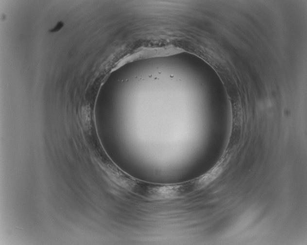 X0000069390184200605150952