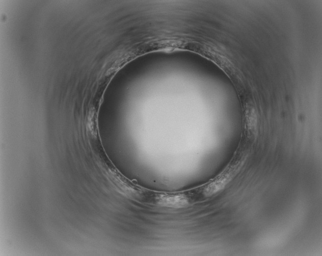 X0000069390185200605150952