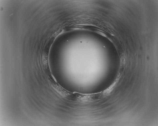 X0000069390186200605150952