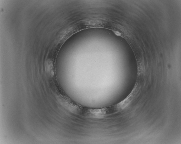 X0000069390187200605150952