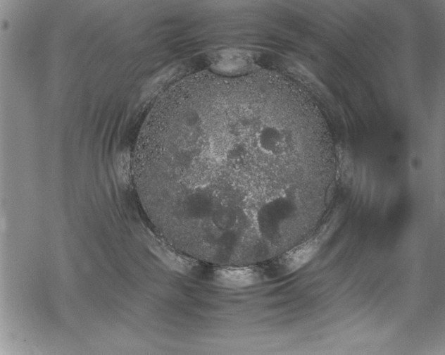 X0000069390189200605150952