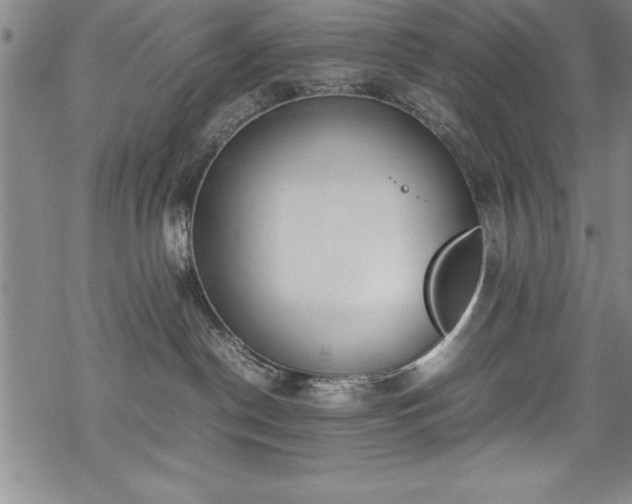 X0000069390190200605150952