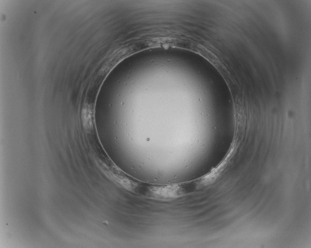 X0000069390191200605150952