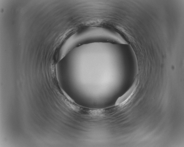 X0000069390192200605150953