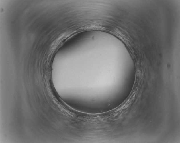 X0000069390193200605150952