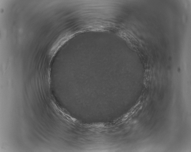 X0000069390194200605150952