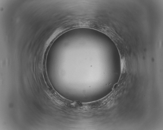 X0000069390195200605150952