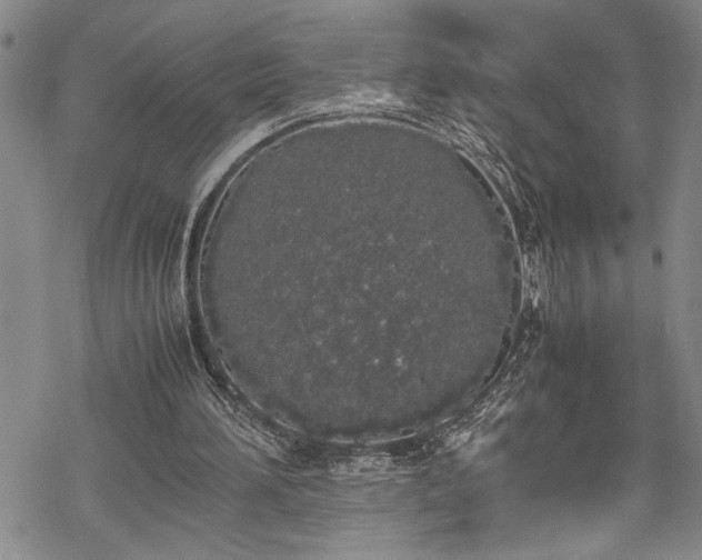 X0000069390196200605150952