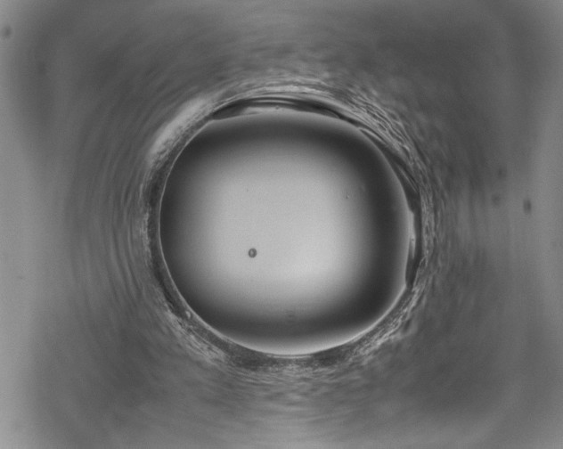 X0000069390197200605150952