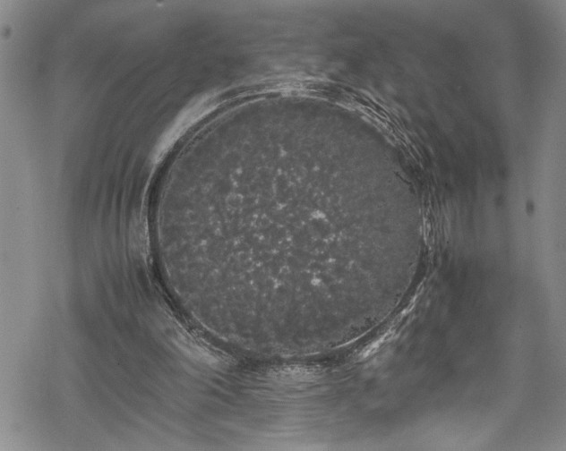 X0000069390198200605150952