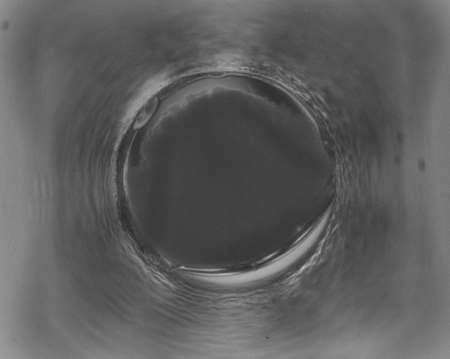 X0000069390200200605150952