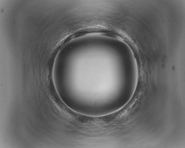 X0000069390201200605150952