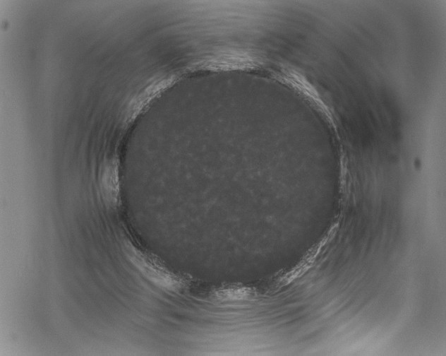 X0000069390202200605150952