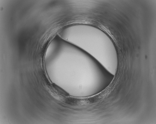 X0000069390205200605150952