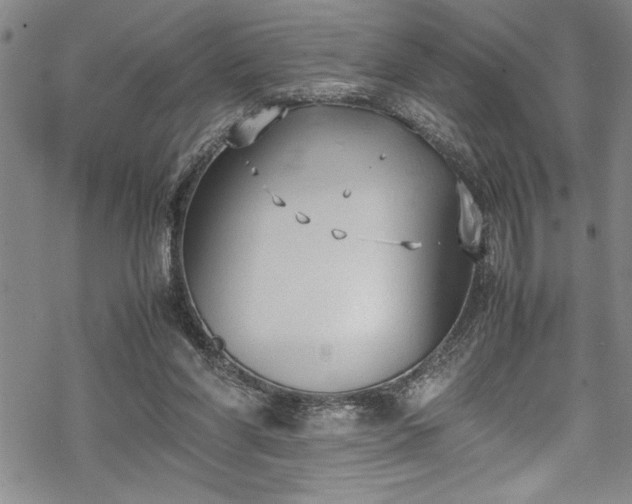 X0000069390206200605150952