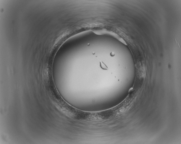 X0000069390207200605150951